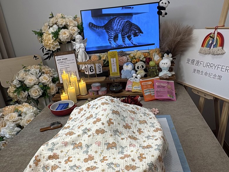 宠物骨灰罐与纪念品